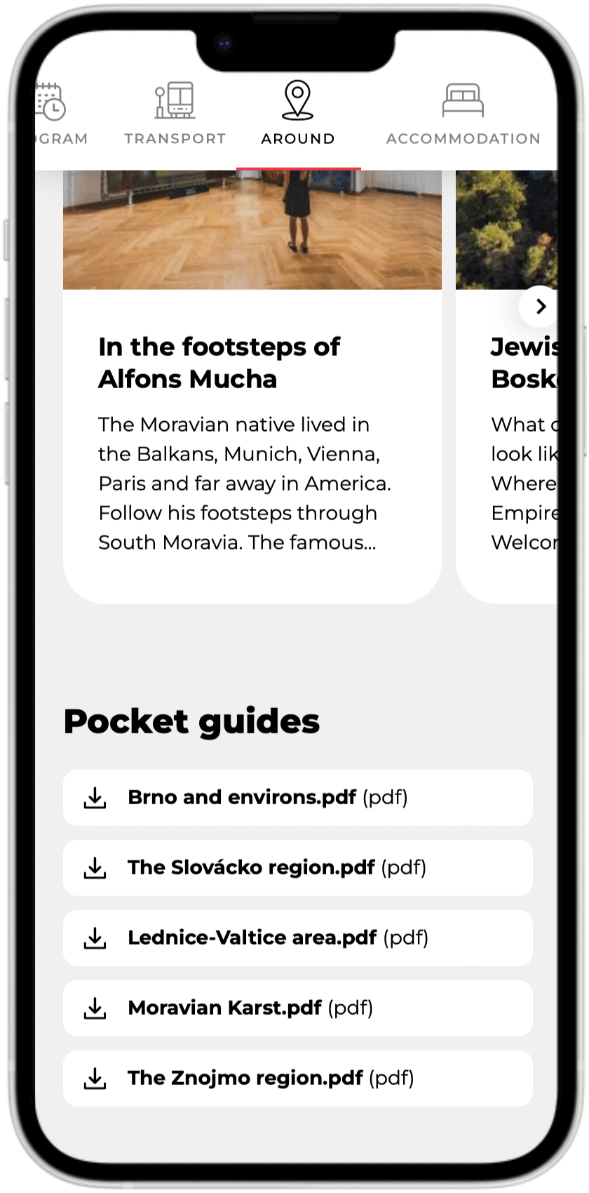 Mobile app preview