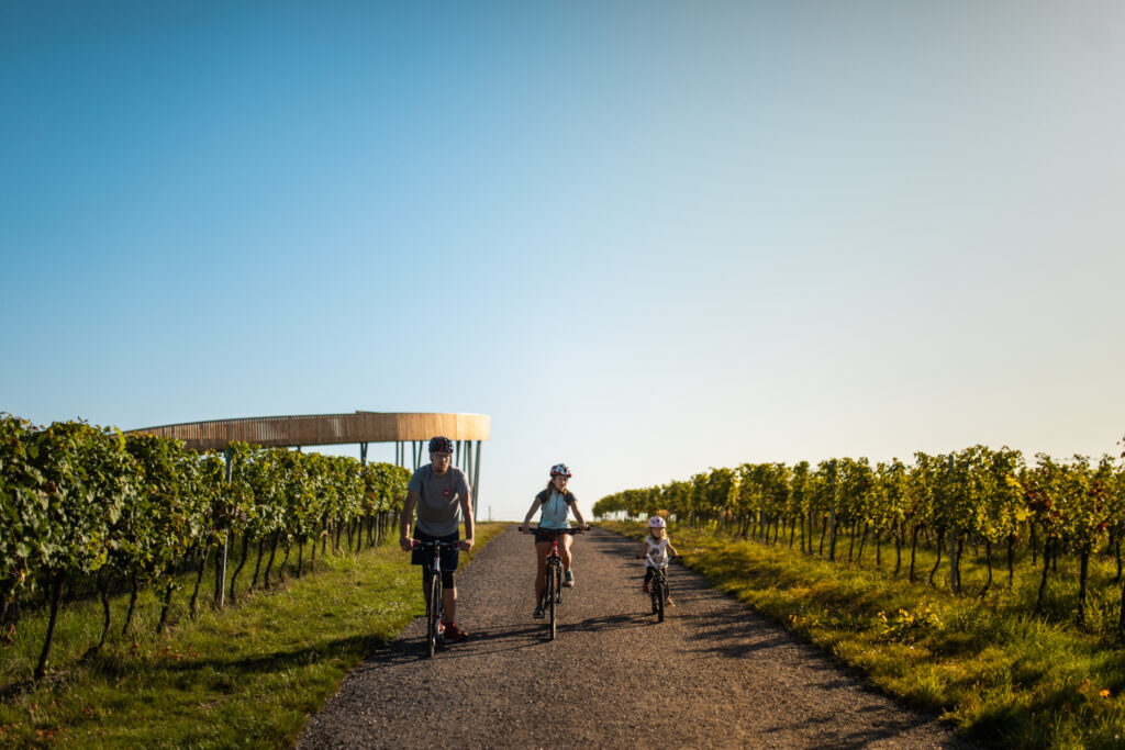 Three cyclists on the wine trail passing by the Kobyli observation tower at sunset