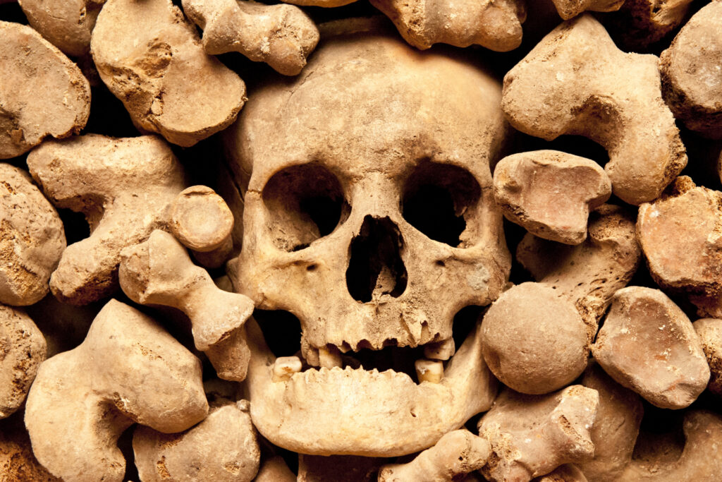 Skull and bones in the Brno underground