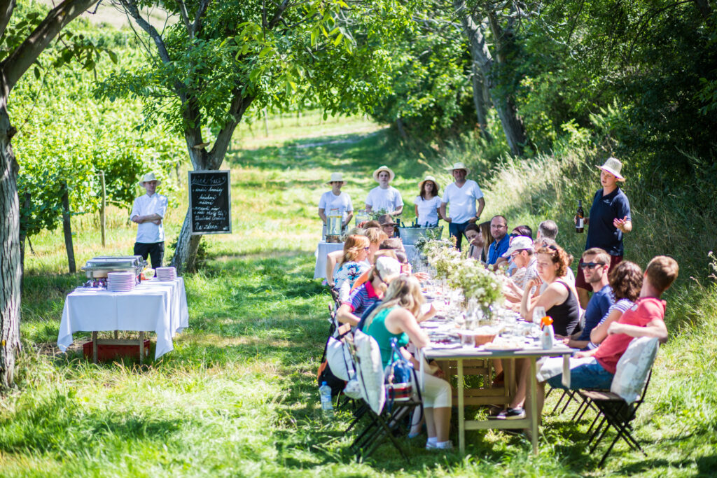 A group of people sitting at a dining table in a vineyard