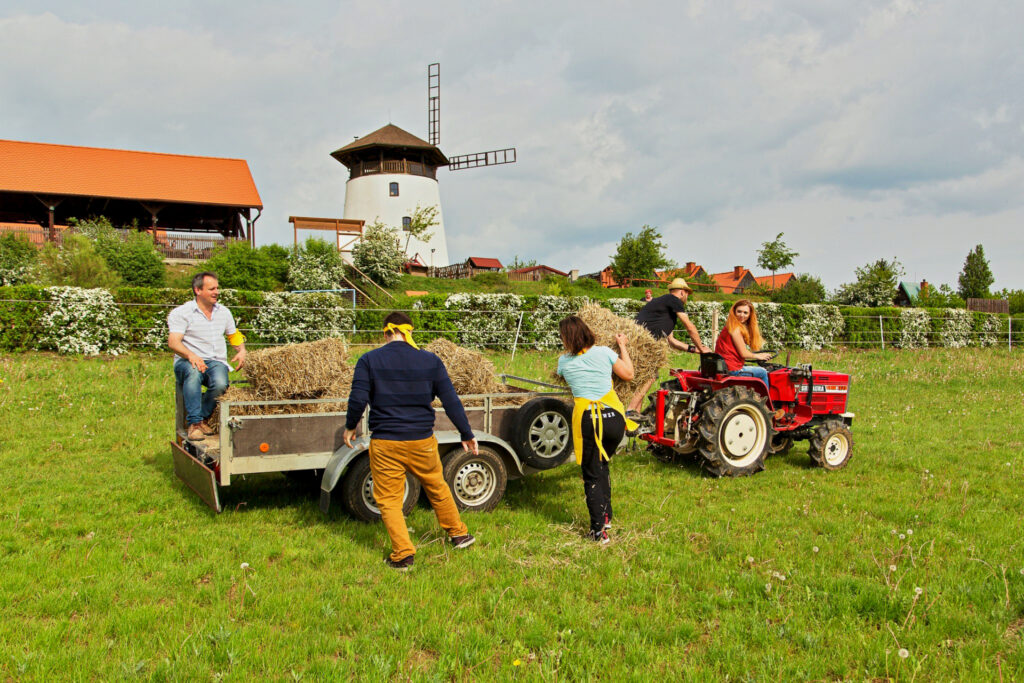 Loading a bale of hay onto a tractor cart during the Bukovany heptathlon