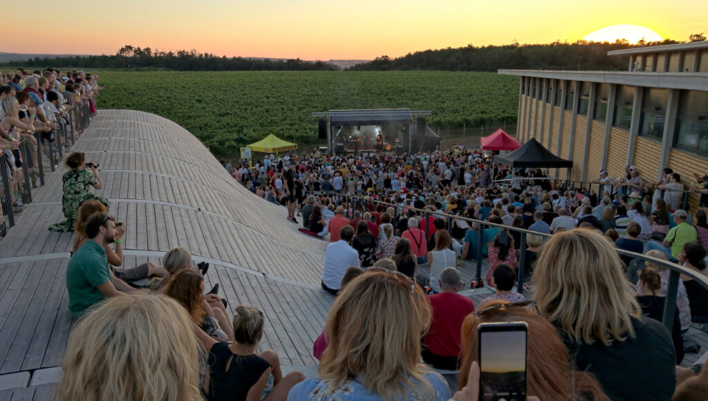 People sitting on the roof of Lahofer winery