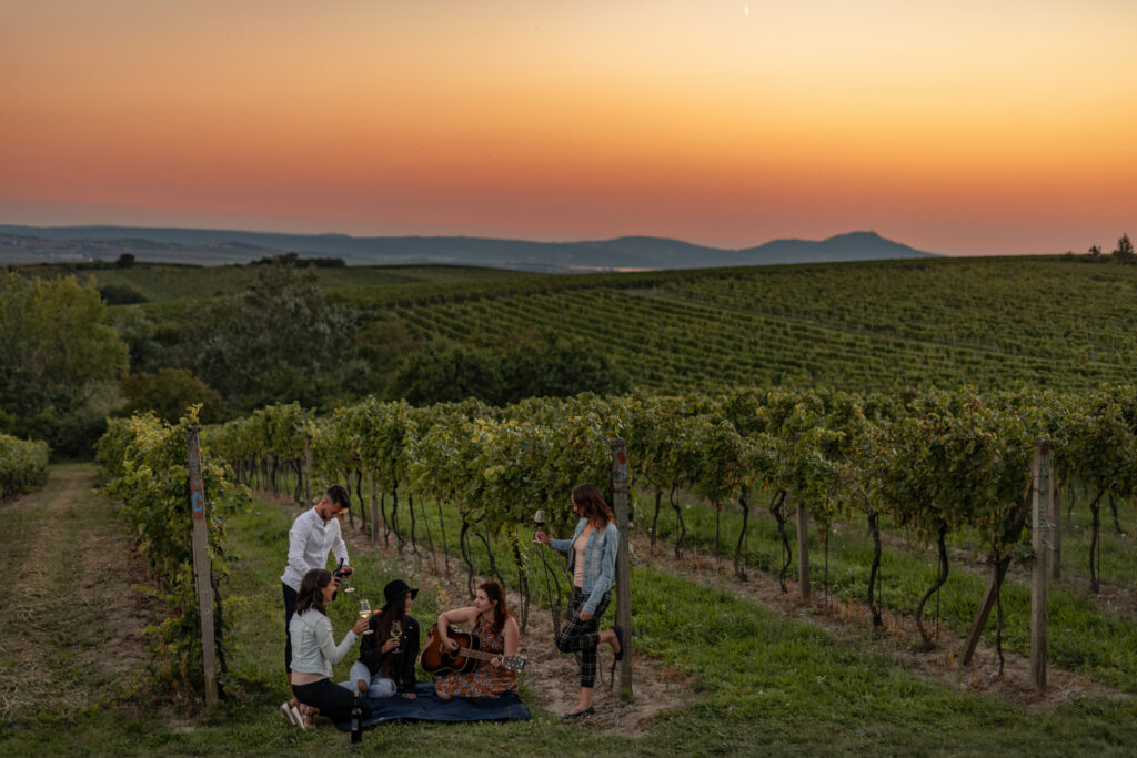 Winery picnic in Znojmo